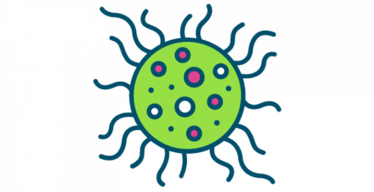 drawing of a virus drawing of a virus