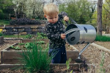 A young boy watering plants outdoors